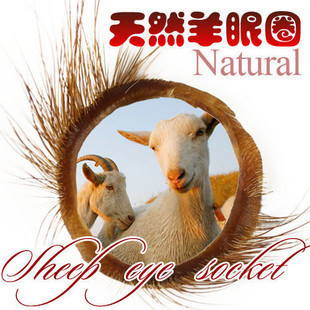 陰莖套環(huán)--羊眼圈鎖精環(huán)計(jì)生夫妻情趣環(huán)套環(huán)