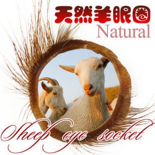 陰莖套環(huán)--羊眼圈鎖精環(huán)計(jì)生夫妻情趣環(huán)套環(huán)